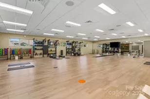 Tbd Connestee Trail, Brevard, NC 28712 - Photo 28