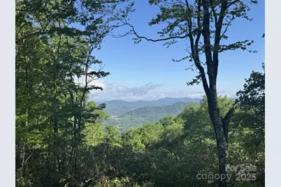 0000 West Garden Trail #Lot 63, Hendersonville, NC 28792 - Photo 2