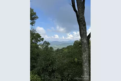 0000 West Garden Trail #Lot 63, Hendersonville, NC 28792 - Photo 4