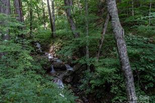 1001 Mountain Glen Rd, Canton, NC 28716 - Photo 40