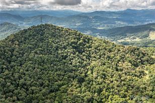 1001 Mountain Glen Rd, Canton, NC 28716 - Photo 46