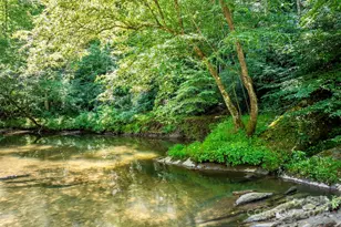 3050 Old Johns River Rd, Collettsville, NC 28611 - Photo 18