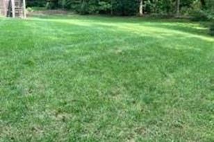 432 E Magnolia Rd, North Wilkesboro, NC 28659 - Photo 2