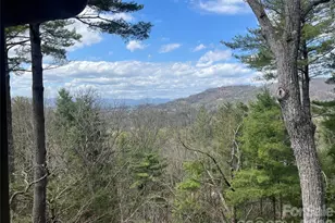 2902 Timber Trail, Asheville, NC 28804 - Photo 1