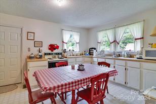 5407 Gerton Hwy, Gerton, NC 28735 - Photo 10