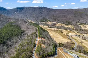 2015 Deep Gap Farm Road W, Mill Spring, NC 28756 - Photo 24