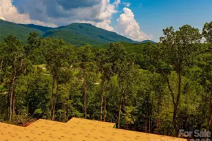 2015 Deep Gap Farm Road W, Mill Spring, NC 28756 - Photo 40