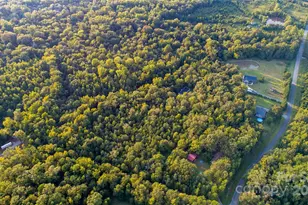 9224 Maggie Robinson Rd, Waxhaw, NC 28173 - Photo 10