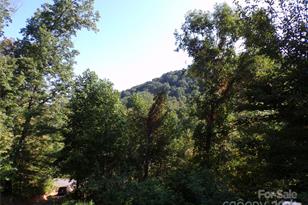 4 Mayapple Ln, Canton, NC 28716 - Photo 10