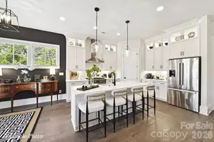 3016 Endhaven Terraces Ln, Charlotte, NC 28277 - Photo 4