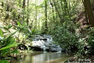 130 Piney Rdg Ln, Saluda, NC 28773 - Photo 38