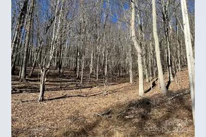 326 Hamlin Lane #57, Mars Hill, NC 28754 - Photo 1