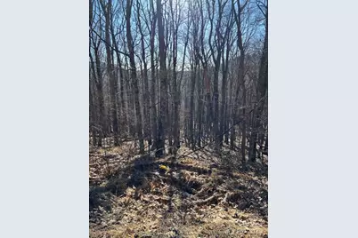 337 Hamlin Lane #96, Mars Hill, NC 28754 - Photo 2