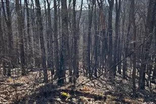 337 Hamlin Ln, Mars Hill, NC 28754 - Photo 2