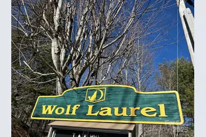 337 Hamlin Lane #96, Mars Hill, NC 28754 - Photo 6