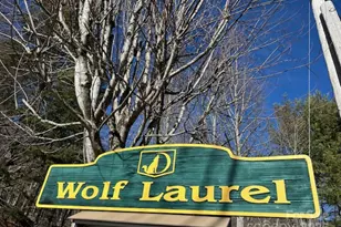 337 Hamlin Ln, Mars Hill, NC 28754 - Photo 6