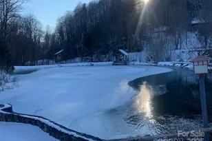 337 Hamlin Ln, Mars Hill, NC 28754 - Photo 8