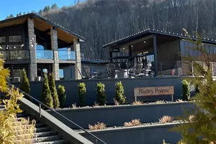 337 Hamlin Ln, Mars Hill, NC 28754 - Photo 12