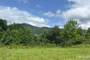 840 Ed Williams Rd, Zionville, NC 28698 - Photo 24