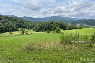 840 Ed Williams Rd, Zionville, NC 28698 - Photo 8