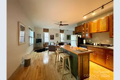 5 W Walnut Street #201, Asheville, NC 28801 - Photo 4