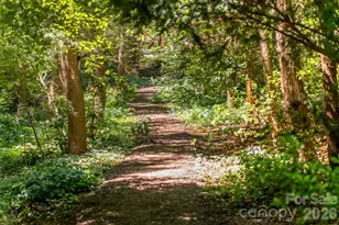 108 Lakewood Dr, Asheville, NC 28803 - Photo 38