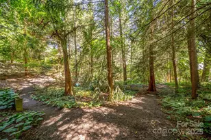 108 Lakewood Dr, Asheville, NC 28803 - Photo 42