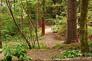 108 Lakewood Dr, Asheville, NC 28803 - Photo 36