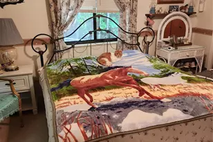 108 Easy St, Cedar Mountain, NC 28718 - Photo 6