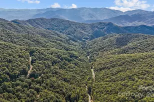 0 Brush Crk Mountain Rd, Bryson City, NC 28713 - Photo 8