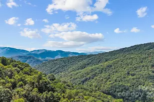 0 Brush Crk Mountain Rd, Bryson City, NC 28713 - Photo 2