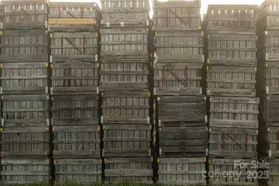 Tbd Old Clear Creek Road, Hendersonville, NC 28792 - Photo 10