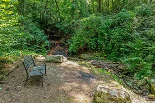 163 Northern Lights Ln, Hendersonville, NC 28739 - Photo 44