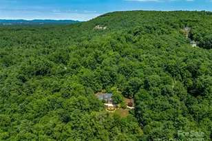 163 Northern Lights Ln, Hendersonville, NC 28739 - Photo 2