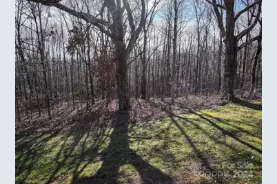 99999 Dancing Bear Drive #53, Hendersonville, NC 28792 - Photo 4