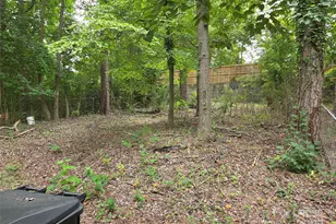 3818 Winfield Dr, Charlotte, NC 28205 - Photo 12