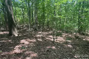 1011 Ratchford Rd, York, SC 29745 - Photo 44