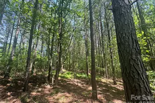 1011 Ratchford Rd, York, SC 29745 - Photo 42