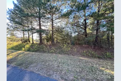 111 River View Drive, Mooresboro, NC 28114 - Photo 4