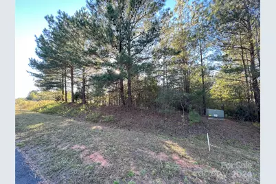 111 River View Drive, Mooresboro, NC 28114 - Photo 38