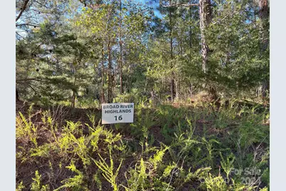 111 River View Drive, Mooresboro, NC 28114 - Photo 12