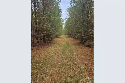 0 Ingold School Road, Albemarle, NC 28001 - Photo 8