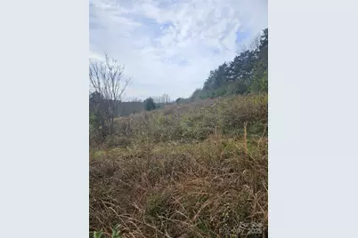 0 Ingold School Road, Albemarle, NC 28001 - Photo 16