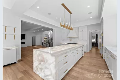 13702 Sage Thrasher Lane, Charlotte, NC 28278 - Photo 12