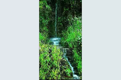 6.96 Acres Big Hungry Road, Flat Rock, NC 28731 - Photo 10