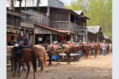 175 Henry Martin Trail, Statesville, NC 28625 - Photo 2