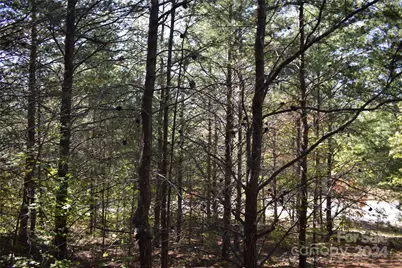 0 Holland Drive #3, Columbus, NC 28722 - Photo 4