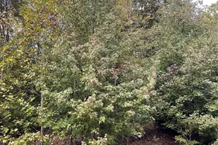 5112 King's Pinnacle Dr, Kings Mountain, NC 28086 - Photo 4