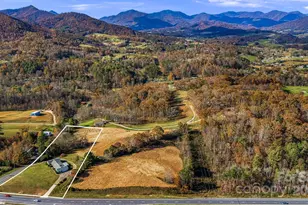 7 Brookshire Rd, Leicester, NC 28748 - Photo 48