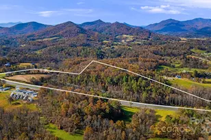 7 Brookshire Rd, Leicester, NC 28748 - Photo 26